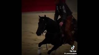 Born talent horse rodeotime horseenthusiast rodeolife horsefan equestrian rodeolifestyle [upl. by Nomelihp]