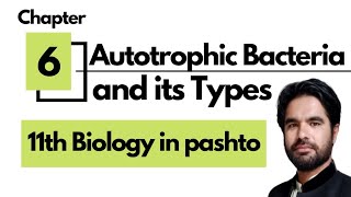 Autotrophic Bacteria  Photoautotrophs  Chemoautotrophs  11th Biology in pashto [upl. by Grubman727]