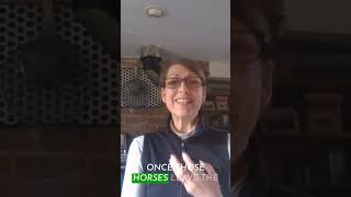 Thoroughbred census to improve traceability of former racehorses equestrianpodcast horsecare [upl. by Felicle]