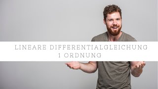 Lineare Differentialgleichung DGL 1 Ordnung  Einfach erklärt [upl. by Rasure]