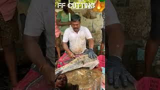 Big cobia fish cuttingfishcuttingskill youtubeshorts greenscreeen [upl. by Robers862]