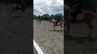 Chincoteague Drill Team horse video So cool Chincoteague horses DrillTeam [upl. by Ethelinda565]