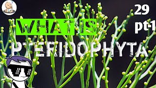 Pteridophytes  Hindi  pteridophytes complete details [upl. by Ardnad660]