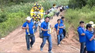 FIESTA EN YERBA SANTA GUERRERO 29 DE AGOSTO DEL 2016 VIDEO 3 [upl. by Nanis]