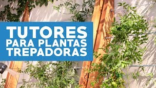 Cómo hacer tutores para cubrir muros con plantas trepadoras [upl. by Haem950]