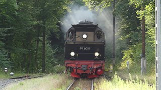 Sommerdampf im Juli auf der Selketalbahn 2007  25072024 [upl. by Wurster]