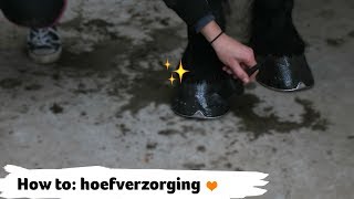 HOW TO hoeven schoonmaken en hoefverzorging  21  Epplejeck [upl. by Evie423]