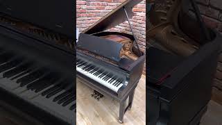 1922 Chickering amp Sons Reproducing Grand Piano Ampico Model A [upl. by Dao]