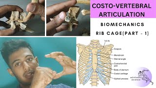 CHEST WALL ARTICULATION  PART 1 BIOMECHANICS OF THORAX Physiotherapy Tutorial [upl. by Xena955]