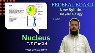 Nucleus  Structure and function of Nucleus  class 11 [upl. by Narmis17]