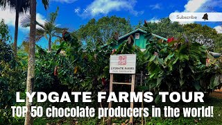 Lydgate Farms Chocolate Tour [upl. by Nimzzaj]