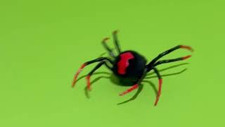 green screen redback spider black widow greensreen spider spiderman monster greenscreenvideo [upl. by Maiocco445]