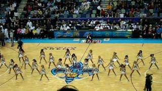 The honeybees New Orleans Hornets [upl. by Hoj]