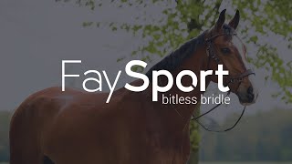 PresTeq FaySport bitless bridle three different ways of riding bitless [upl. by Child]