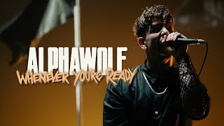 Alpha Wolf  Whenever Youre Ready OFFICIAL MUSIC VIDEO [upl. by Ardnuhs734]