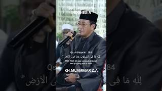 Tilawatil Quran Surat AlBaqarah Ayat 284 video tilawatilquran muammarza qoriinternasional [upl. by Hitt372]