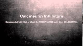 Medical vocabulary What does Calcineurin Inhibitors mean [upl. by Amorita]