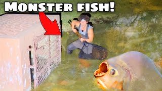 I Caught MONSTER FISH For My 300 GALLON AQUARIUM [upl. by Ja]