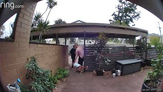 Porch Pirates Getting Confronted by Homeowners  Package Thieves Get What They Deserve [upl. by Eelimaj214]