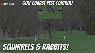 Pest Control At the Golf Coarse Squirrels amp Rabbits [upl. by Sears]