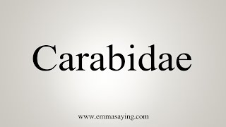 How To Say Carabidae [upl. by Formica]