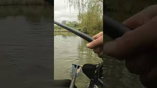 I won my first fishing match matchfishing fishing fishinglife [upl. by Oran]