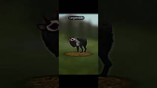 Which animal next wildcraftedit fypシ゚viral wildcraftforever xaresytwildcraft [upl. by Ahsitil]