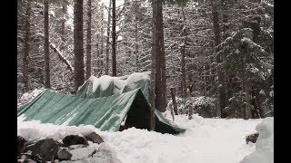 Winter Camping  Tarp Shelter  1st winter Overnight in a Tarp [upl. by Euqinay116]