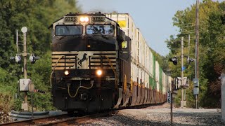 NS 224 Slaps The Joints At Sonderen With Whiteface Leader [upl. by Leandra]