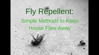 DIY Fly Repellent [upl. by Imrots335]