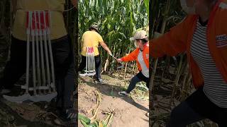 Essential Farming Tools for Rural Farmer  Corn 🌽 🌽 Silage Cutting Tools shorts satisfying [upl. by Keslie]