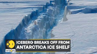 WION Climate Tracker Iceberg breaks off from Antarctica Ice Shelf  World News  English News [upl. by Aketal]