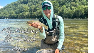 Summertime Wade Fishing the White River Insane day fishing [upl. by Ole106]