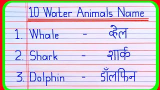 20 Water Animals Name  Water Animals Name in hindi and English  Water Animals Name video [upl. by Eiramac773]