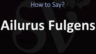 How to Pronounce Ailurus Fulgens CORRECTLY [upl. by Gizela]