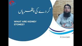 What are kidney stonesگردے کی پتھریاں Dr Imran Qadir [upl. by Sneed269]