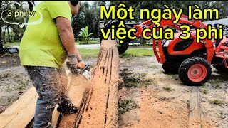 “Mở rộng thêm vườn rau” chuẩn bị cho mùa đông239 [upl. by Einnhoj]