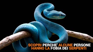 SCOPRI PERCHE’ ALCUNE PERSONE HANNO LA FOBIA DEI SERPENTI  FAMIGLIA ANIMALE [upl. by Aicsile]