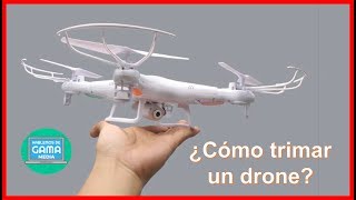 Cómo TRIMAR un drone [upl. by Irakab]