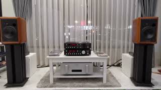 Sonus faber electa first gen with mark levinson CD 39 pre 38s [upl. by Ronel996]