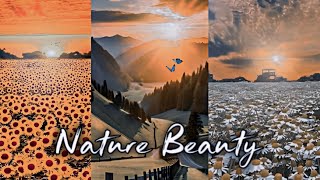 Nature Beautiful Vlog 🌻  Feel The Nature 🦋  Nature Vlog [upl. by Cohen]