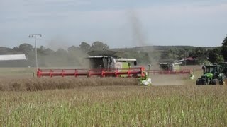 4 Claas Lexion 770 Mähdrescher Raps dreschen 2012 [upl. by Joris]