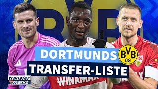 Guirassy Groß amp Co Dortmunds TransferGerüchte im Check  TRANSFERMARKT [upl. by Omle672]