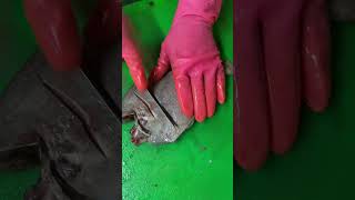 Black Pomfret cutting skills fishcuttinghouse seafood trending fishing shorts viralshort [upl. by Glick189]