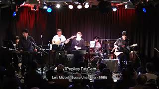 Luis Miguel  Pupilas de gato Cover Live in Tokyo Japan [upl. by Ahl704]