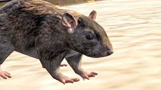 RAT  GTA 5 RP [upl. by Nitsug704]