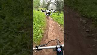 Divinity flow PT2 mtb gopro pov colorado [upl. by Clarise941]