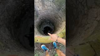 Sauver une souris 🐁✅ nature wild wildlife rescue humour exploration [upl. by Siurtemed]