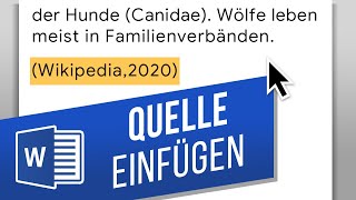 Word Quelle einfügen  Quellenangaben im Text – in Word zitieren [upl. by Lennad849]