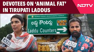 Tirupati Laddoo Row Latest  Devotee At Tirupati Balaji Temple Blames YSRCP For ‘Prasadam’ Row [upl. by Blackman852]